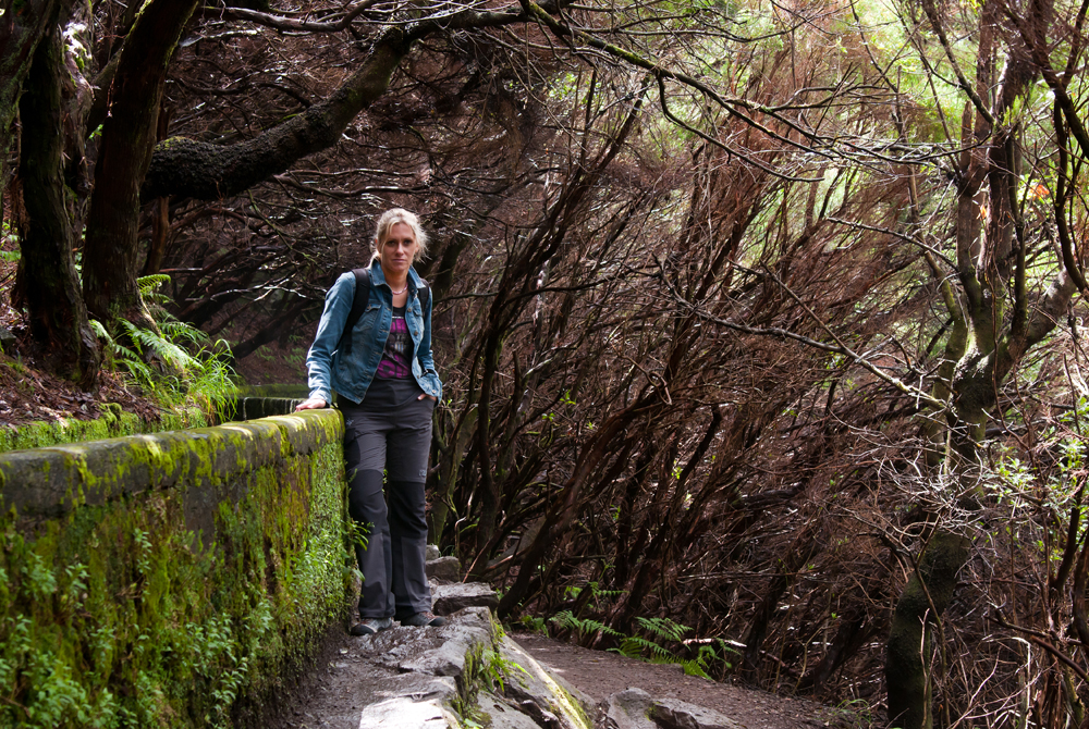 425_Madera_Levada das 25 Fontes (c) Przemek Maliszewski.jpg